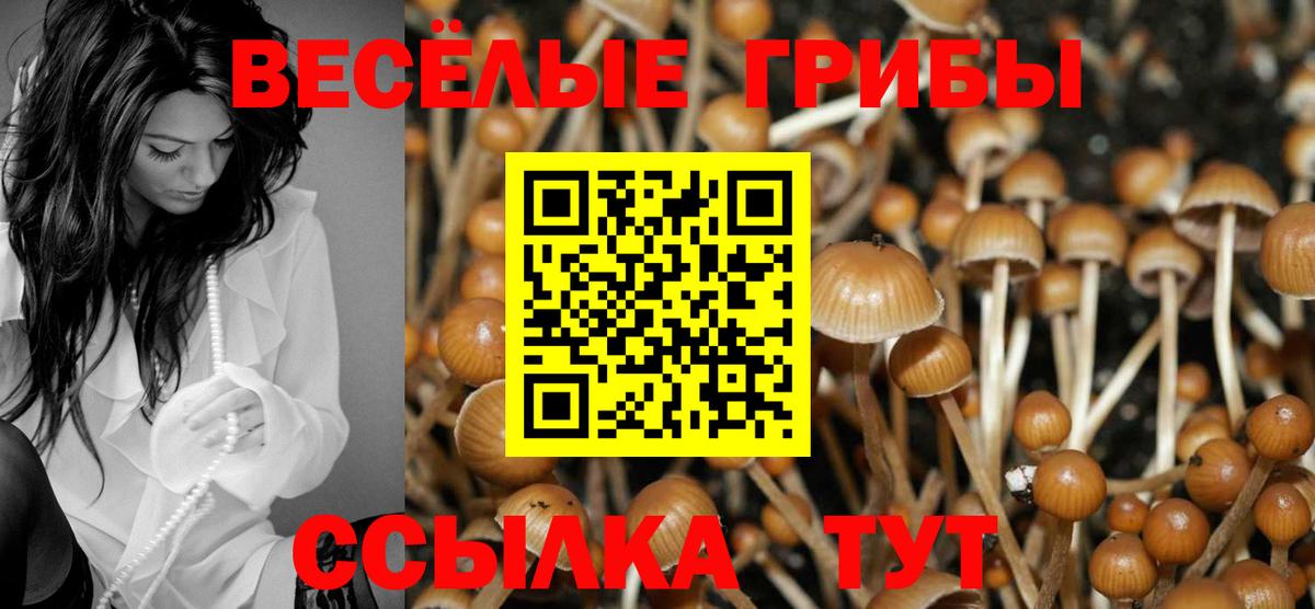Галлюциногенные грибы прущие грибы  Вход с VPN  Галлюциногенные грибы GOLDEN TEACHER  сколько стоит  Ижевск 